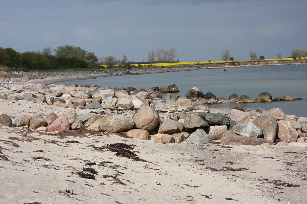 Neues Von Der Ostsee